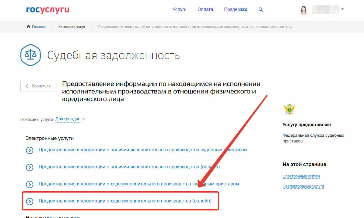 Как узнать задолженность по номеру исполнительного производства через Госуслуги?